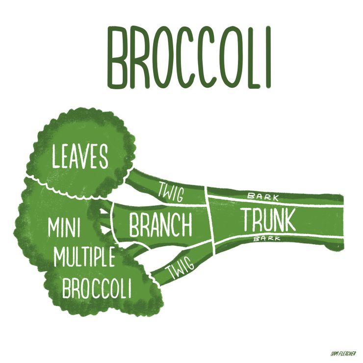 Butcher Cuts Broccoli