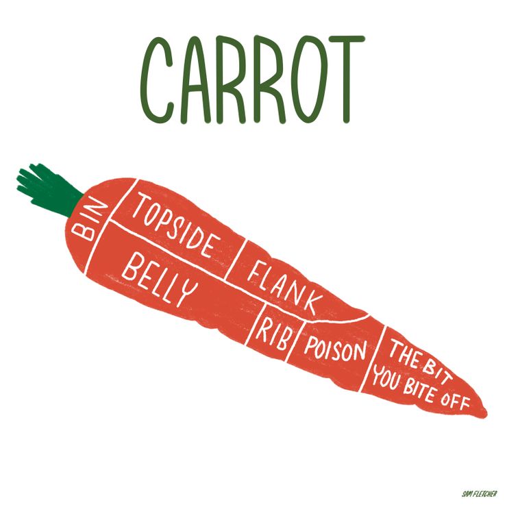 Butcher Cuts Carrot